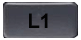 L1